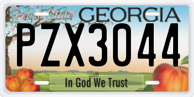 GA license plate PZX3044