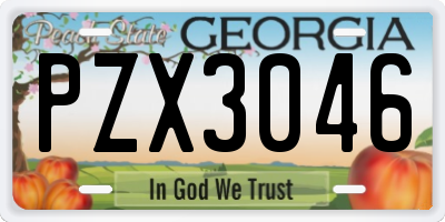 GA license plate PZX3046