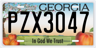 GA license plate PZX3047