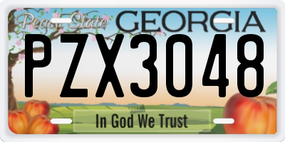 GA license plate PZX3048