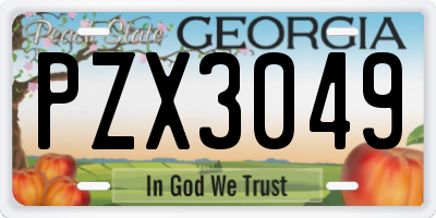 GA license plate PZX3049