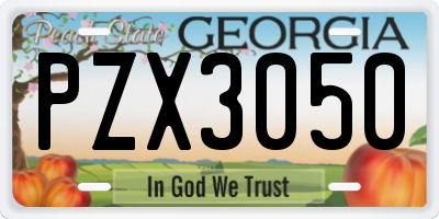 GA license plate PZX3050