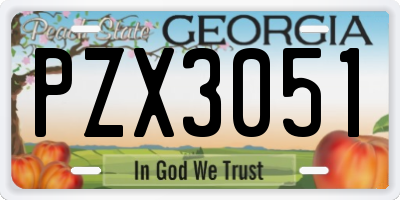 GA license plate PZX3051