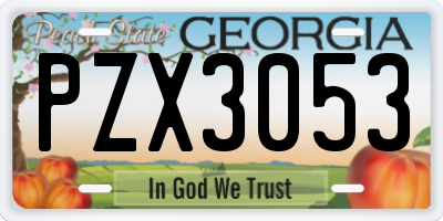 GA license plate PZX3053