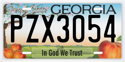 GA license plate PZX3054