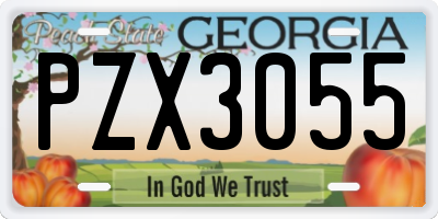 GA license plate PZX3055