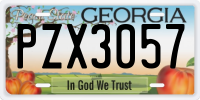 GA license plate PZX3057