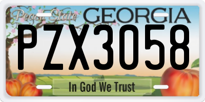 GA license plate PZX3058