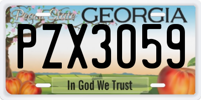 GA license plate PZX3059