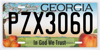 GA license plate PZX3060