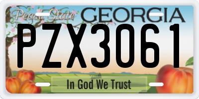 GA license plate PZX3061