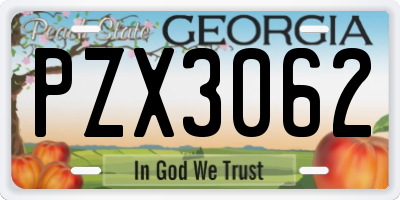 GA license plate PZX3062