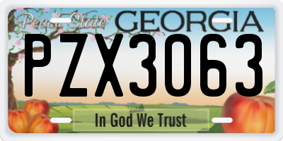 GA license plate PZX3063