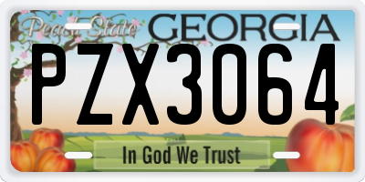 GA license plate PZX3064