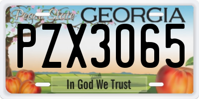 GA license plate PZX3065