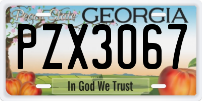 GA license plate PZX3067