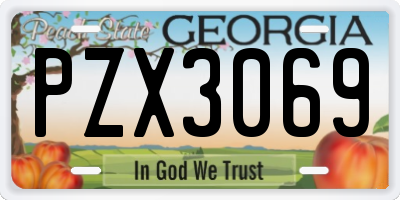 GA license plate PZX3069