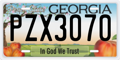 GA license plate PZX3070