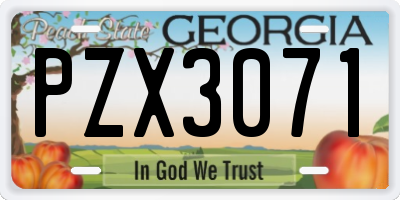 GA license plate PZX3071