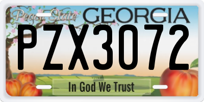 GA license plate PZX3072