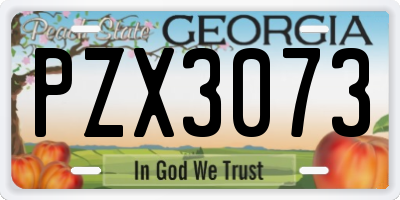 GA license plate PZX3073