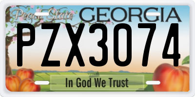 GA license plate PZX3074