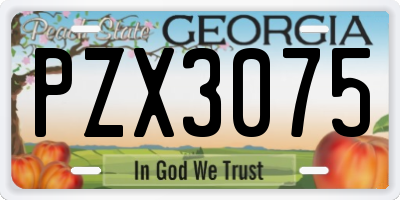 GA license plate PZX3075