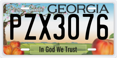 GA license plate PZX3076