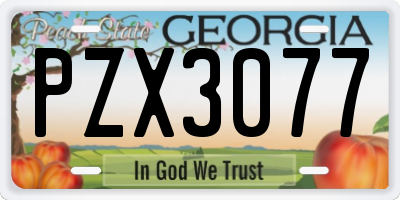 GA license plate PZX3077