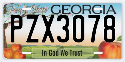 GA license plate PZX3078