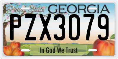 GA license plate PZX3079