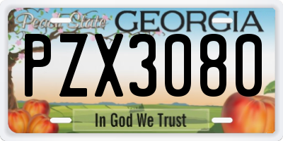 GA license plate PZX3080