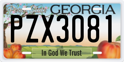 GA license plate PZX3081