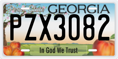 GA license plate PZX3082