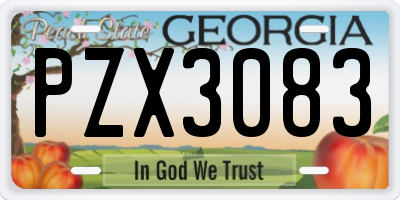 GA license plate PZX3083