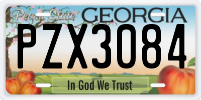 GA license plate PZX3084