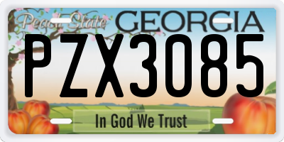 GA license plate PZX3085