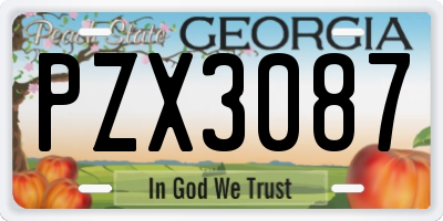 GA license plate PZX3087