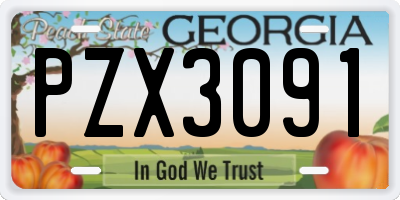 GA license plate PZX3091