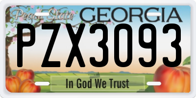 GA license plate PZX3093