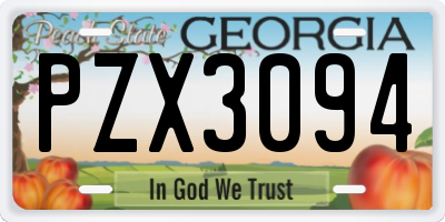 GA license plate PZX3094