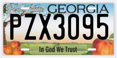 GA license plate PZX3095