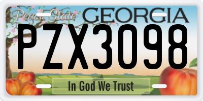 GA license plate PZX3098