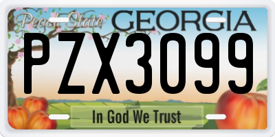 GA license plate PZX3099