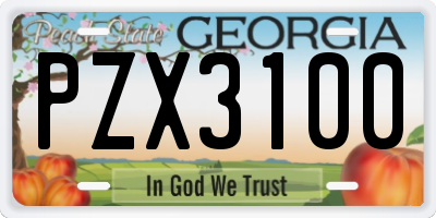 GA license plate PZX3100