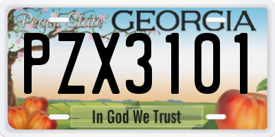 GA license plate PZX3101