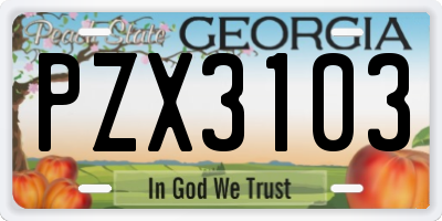 GA license plate PZX3103