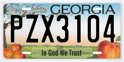 GA license plate PZX3104