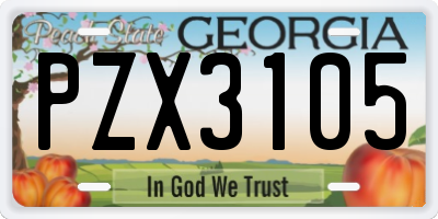 GA license plate PZX3105