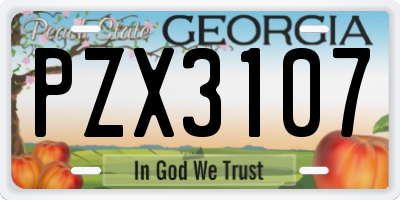 GA license plate PZX3107